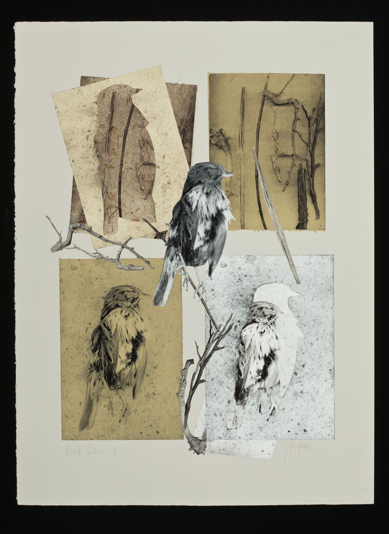 Bird-series-#1-copy-2