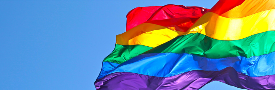 LGBTQIA-Banner