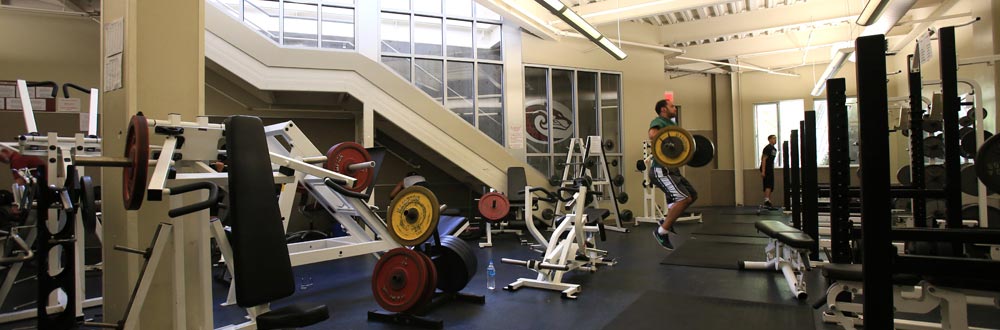 weights_3767_banner