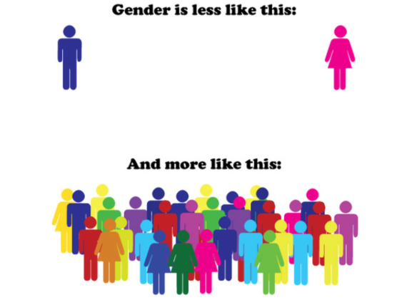 gender_spectrum_001