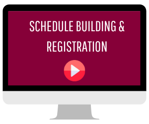 Registration Video Icon