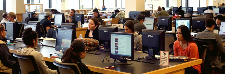 Students using the library computers.