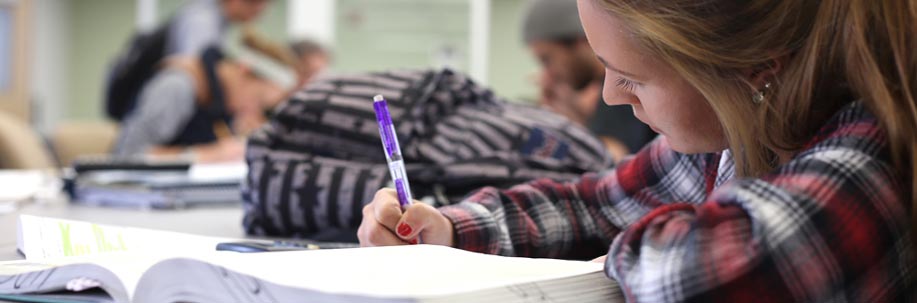 A student studying in the MLC.