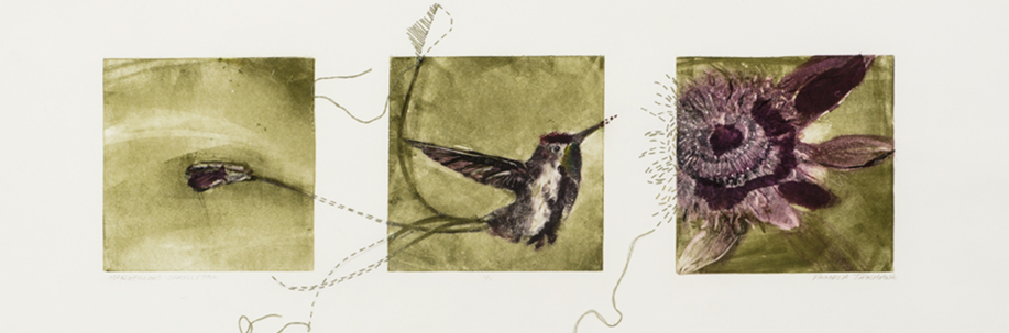 Pamela_Takigawa_Hummingbird_15x3_4_Mixed_Media_800_dollars_200ppi-banner